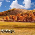 全国各地最美秋景，今年别再去错地方了！_1