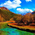 全国各地最美秋景，今年别再去错地方了！_3