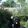 Girl in Black~_1