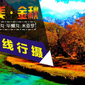 华美金秋召集10-11月九寨沟、米亚罗、九曲黄河、毕棚沟红叶之旅_4