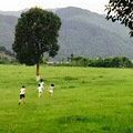 简介：三清寨休闲农庄，坐落于三清园旅游度_0