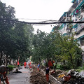 朝晖五区怎么年年都要掘地呀？