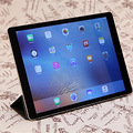 ��������һ�� iPad Pro�۵�ȷʵ�е��_0