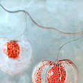 Physalis_2