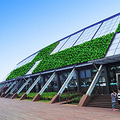 浙江植物墙 明筑仿真植物墙 植物墙的领导品牌_4