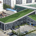 浙江植物墙 明筑仿真植物墙 植物墙的领导品牌_5