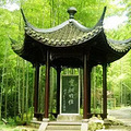 【元旦去哪儿？】99%的人宅不住了！_1