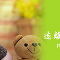 杭州专业甲醛治理公司_3
