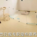杭州专职宠物寄养 加微信看场地照片 tianshijinliequ5417_1