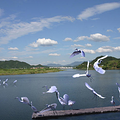 去常山寻古、采摘、垂钓吧_5