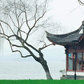 绿油油的草坪构成一道靓丽的风景线，为我们_0