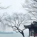 绿油油的草坪构成一道靓丽的风景线，为我们_2
