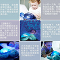 婴幼儿好睡眠的培养离不开一件靠谱的安抚玩具_5