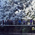 雪已经下了，浙江这些地方打烊了！可是真的美翻了啊_4