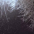 雪已经下了，浙江这些地方打烊了！可是真的美翻了啊_1