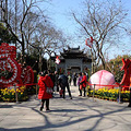  2016年钱王祠西湖迎春花展_1