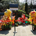  2016年钱王祠西湖迎春花展_4