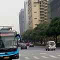 文二路单行线居然逆行_4