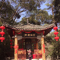 【娃的春天】+“混血宝宝”出游_2