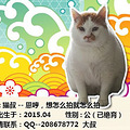 杭动保#西子领养#2016年3月第四榜——猫_4