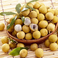 夏季养生小知识