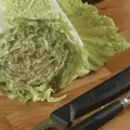 【变形计】易拉罐盖子千万别扔！用在白菜上，奇迹发生了！_2