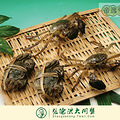 张德洪牌阳澄湖大闸蟹团购进行中，拼团更优惠_5
