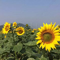 【两天A套餐】莫干山民国风情户外挑战深度两日体验营_3