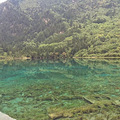 向往的九寨沟。。。。。。_4