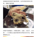 面对好吃哭了的阳澄湖大闸蟹，还有什么能压抑你吃货的天性！_1
