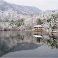 半山国家森林公园旅游攻略——半山国家森林公园路线及攻略_2