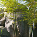 大麓寺旅游攻略 铁钟和古树的怀旧风情_0