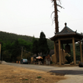 大麓寺旅游攻略 铁钟和古树的怀旧风情_1