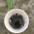 新手上路