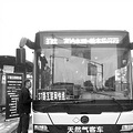 【都市快报】“智慧公交”昨天正式出马，37路出行大大缩短