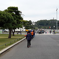 闹中取静的皇居外苑二重桥——赴日随团六日游之四_2
