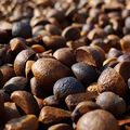 我们应该知道的食用油提取方法_3