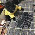 法国斗牛犬 法斗 求配种 找老婆！！！