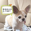 愿有岁月可回头！_4