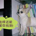 愿有岁月可回头！_3