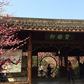 灵峰探梅_2