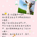 【捡人】我的青春、我的梦、我向往的自由，在呼伦贝尔_3