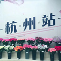 全国首个婚礼鲜花B2B平台--Like-喜欢婚礼开业，结婚能省好多钱_1