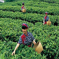 【杭州：大清谷烧烤真人CS】_0
