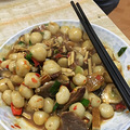 开化的人才能懂