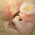 胎儿是否有遗传病 孕6周抽血就能查