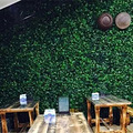 绿色植物背景墙哪个好 明筑为你创造健康新生活