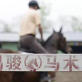 2017最新盘点杭州几大马场，送给想学骑马的你_0