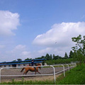2017最新盘点杭州几大马场，送给想学骑马的你_3