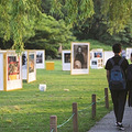 第十届杭州市民摄影节今天下午开展._3